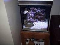 Aqua one cube tank/aquarium
