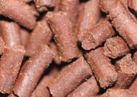 Blackworm, Earthworm & Bloodworm Sticks