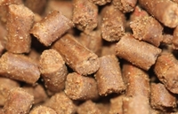 Blackworm, Earthworm & Bloodworm Sticks