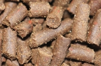 TA AQUACULTURE - Specialist Fish Foods.