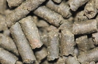 TA AQUACULTURE - Specialist Fish Foods.