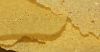 TA AQUACULTURE - Specialist Fish Foods.