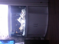 juwel trigon 350 white full malawi set up swap for 5-6ft or 280 cash