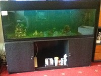 5ftx2ft Fish Tank and extras