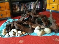 5ftx2ft Fish Tank and extras