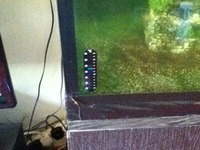5ftx2ft Fish Tank and extras