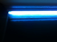 5ftx2ft Fish Tank and extras