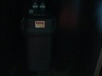 5ftx2ft Fish Tank and extras