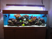 Full Marine Tank and equipment