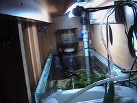 Full Marine Tank and equipment