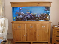 Complete Marine tank setup in solid oak cabinet