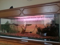 4ft tank and cabinet for sale