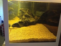 48in x 12in x 11in fish tank for sale. £50