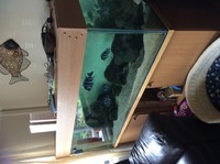 Huge 700 litre custom built tank