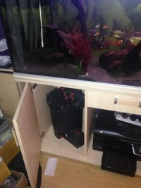 5x2x2 Rena Aquarium with 3 FX 5 filters and 12 Red Belly Piranahs