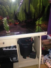 5x2x2 Rena Aquarium with 3 FX 5 filters and 12 Red Belly Piranahs
