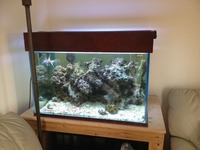 3 ft x 2ft x 2ft complete marine setup - with stock