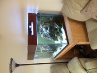 3 ft x 2ft x 2ft complete marine setup - with stock