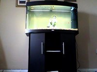 jewel vision 180 aquarium full set up in immaculate condtion