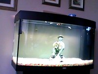 jewel vision 180 aquarium full set up in immaculate condtion