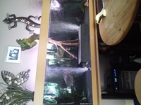 complete 5ft oddball set up wirh sump stand fish