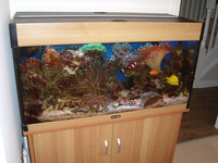 Complete Marine tank, sumps, equipment