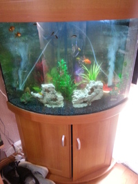 Aqua one 190l corner tank with lots of extras.
