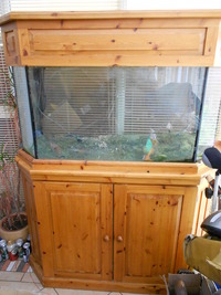 Fish tank & Cabinet 80 Gallons 360 litres