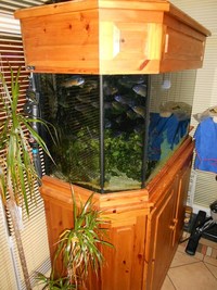 Fish tank & Cabinet 80 Gallons 360 litres