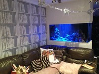 Breaking down large marine tank, selling all fish