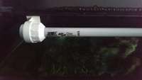 Juwel 180 full setup and african malawi cichlids £125 Manchester