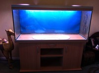 5ft Rena Aqualife 450 Aquarium with Stand, 2 XP3 filters, heaters and LOTS MORE £350