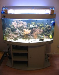 NOW SOLD!!! - Aqua Medic Perc 120 Bowfronted in silver