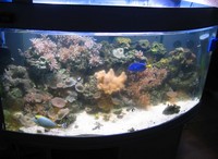 NOW SOLD!!! - Aqua Medic Perc 120 Bowfronted in silver