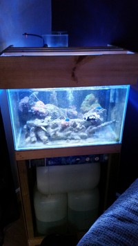 100l marine tank and full kit... aquarays x3 deltec... corals tonga branch MAY SPLIT £295 ONO