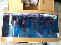 Marine tank set up for sale