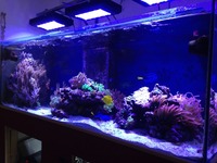 Full setup