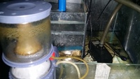 250 Litre Sumped Marine Fish Tank Complete with Stock £600.00 ONO