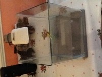 Hobbiest selling everything he has - make an offer