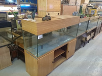 Large Aquarium clear out.