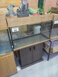 Large Aquarium clear out.