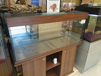 Large Aquarium clear out.