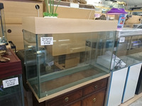Large Aquarium clear out.