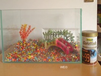 MAY SALE - WEISNICK AQUARIUMS ACCESSORIES BONANAZA - Over 200 pre-owned ORNAMENTS + Bogwood, Air pumps, Plants etc plus loads of other stuff. From £2 upwards. Viewings welcome Manchester M45