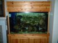 FULL MARINE SET UP FOR SALE HAS TO GO