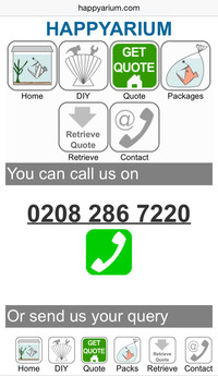 Tropical fish tanks Maintenance & Installation services.