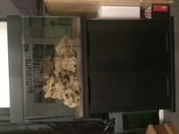 Tropical fish tank 140L and external filter malawi cichlid mbuna ocean rock