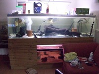 Large acrylic aquarium for sale 1500 liters 7x4x2