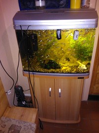 AQUA ONE LARGE AQUARIUM WITH CUPBOARD STAND, 2 SMALL TANKS, 2 NANO TANKS, FISH & LOADS OF EXTRAS