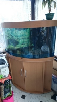 FOR SALE juwel 190 corner tank and cabinet